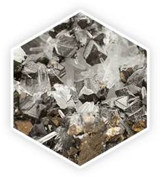 image13 (1)